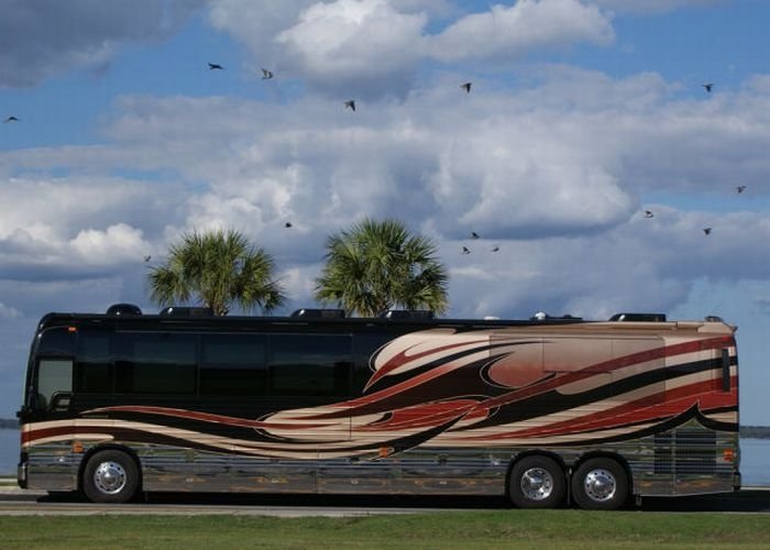 Millennium Luxury Coaches by Nelson and Evelyn Figueroa