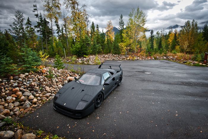 carbon fiber ferrari f40