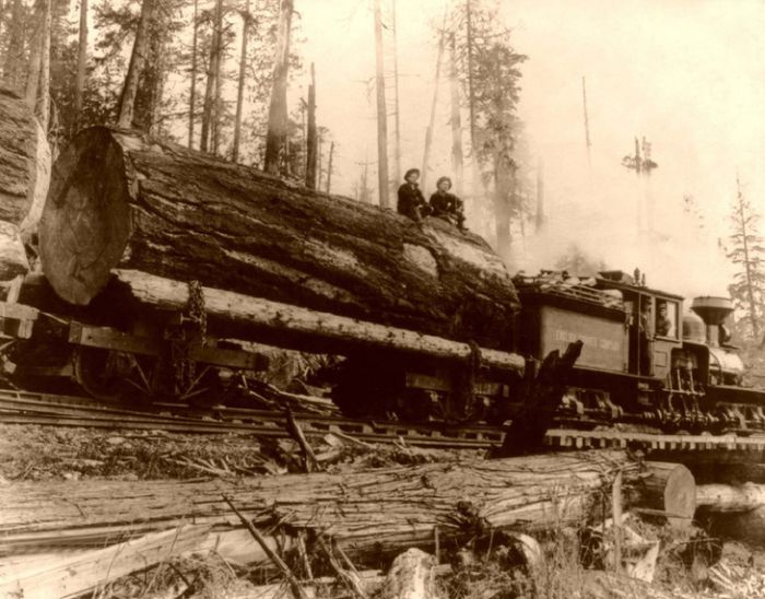 History: Rail transportation in the United States