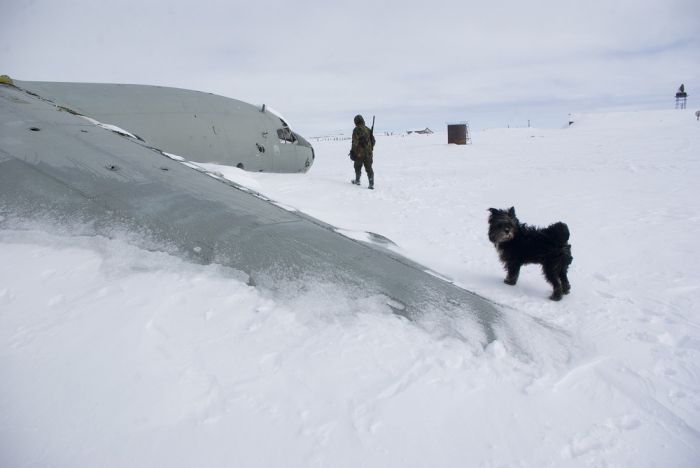 Antonov An-12 Cub crashed and abandoned