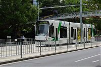 TopRq.com search results: tram