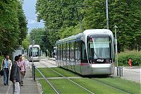 Transport: tram