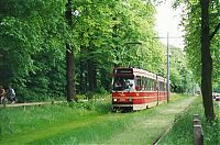 TopRq.com search results: lawn rails for trams