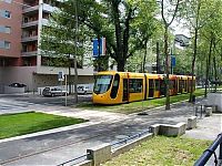Transport: lawn rails for trams