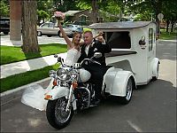 TopRq.com search results: unique wedding transportation