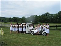 TopRq.com search results: unique wedding transportation