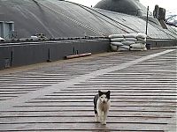 Transport: Submarine cruiser, strategical project 941 Shark (SSBN Typhoon NATO Classification)