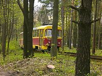 Transport: train in the city