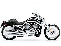 TopRq.com search results: Harley Davidson