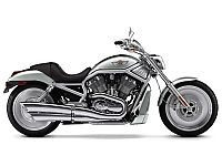 TopRq.com search results: Harley Davidson