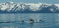 Transport: Submarine with fine view