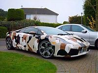 Transport: camouflaged cars