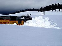 Transport: train got stuck in the snow