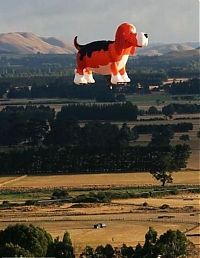 Transport: hot air balloon