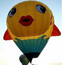 TopRq.com search results: air balloon