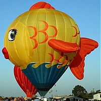 TopRq.com search results: air balloon