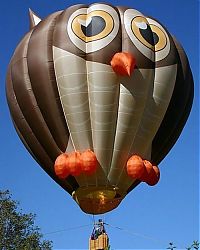 TopRq.com search results: air balloon