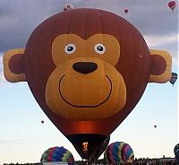 TopRq.com search results: air balloon