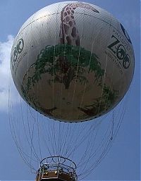 TopRq.com search results: air balloon