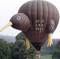 TopRq.com search results: air balloon