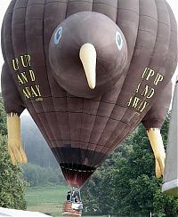 TopRq.com search results: air balloon