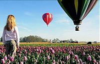 TopRq.com search results: air balloon