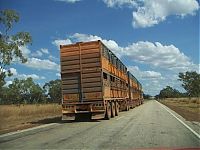 Transport: road trains