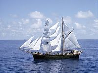 Transport: schooner sailing vessel