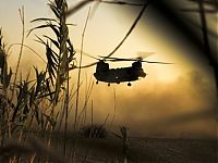 TopRq.com search results: Boeing CH-47 Chinook