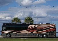 Transport: Millennium Luxury Coaches by Nelson and Evelyn Figueroa