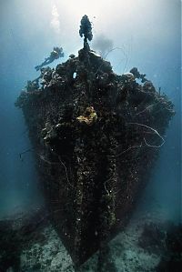 TopRq.com search results: shipwreck