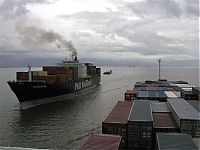 TopRq.com search results: shipmaster view