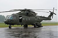 Transport: helicopter in action