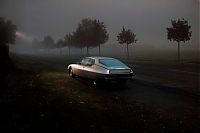 Transport: automobile