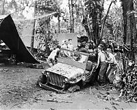 Transport: US Army Jeep at war