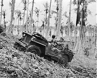 Transport: US Army Jeep at war