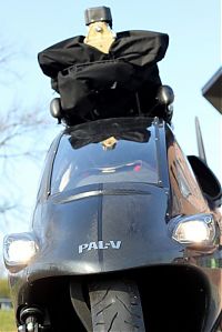 Transport: PAL-V One flying car