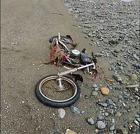 TopRq.com search results: Harley Davidson swept away by Japan tsunami found in Canada
