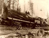 Transport: History: Rail transportation in the United States