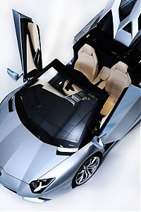 TopRq.com search results: Lamborghini Aventador LP 700–4 Convertible Roadster