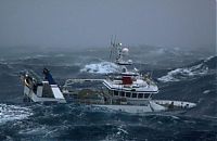 Transport: Fishing vessel in the rough waves, North Sea