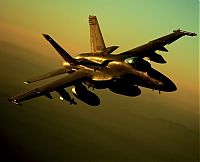 TopRq.com search results: McDonnell Douglas F/A-18 Hornet