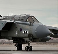 TopRq.com search results: Panavia Tornado combat aircraft