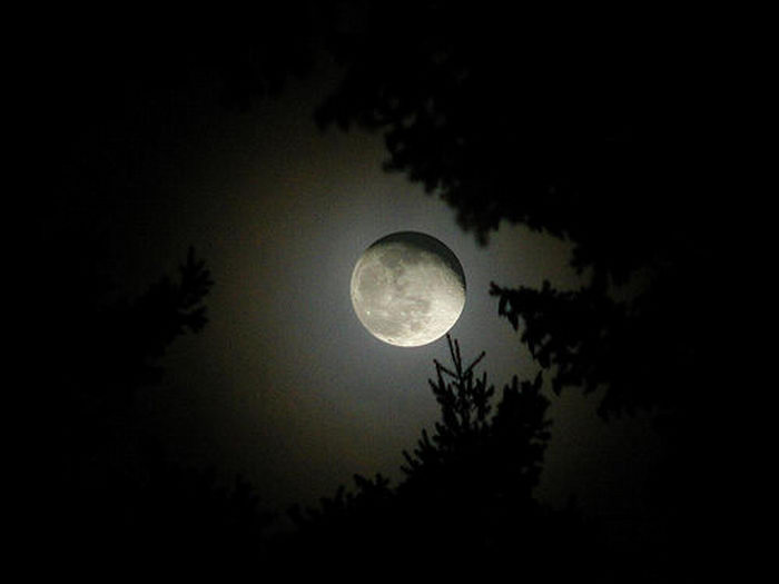 moon photos