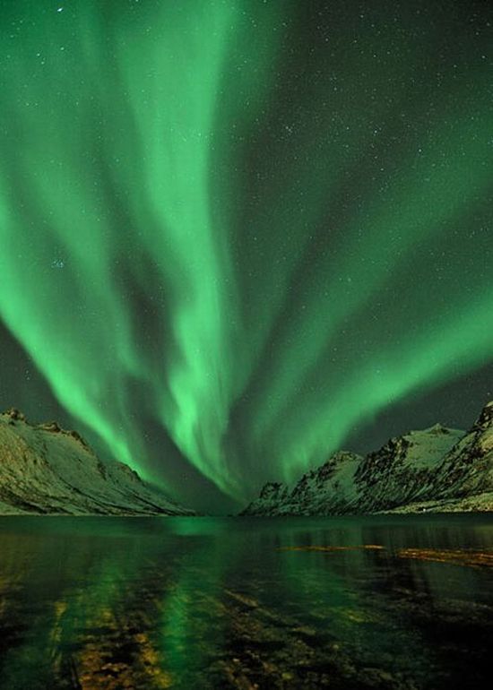 aurora, amazing northern lights