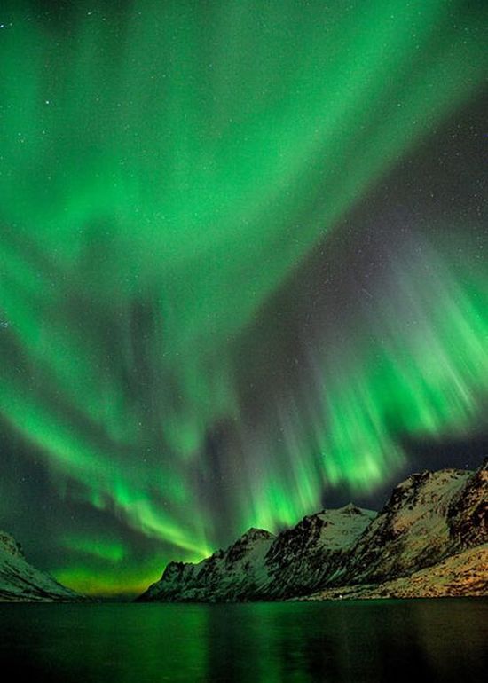 aurora, amazing northern lights