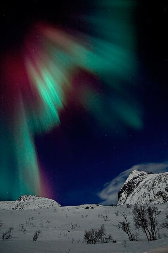 aurora, amazing northern lights