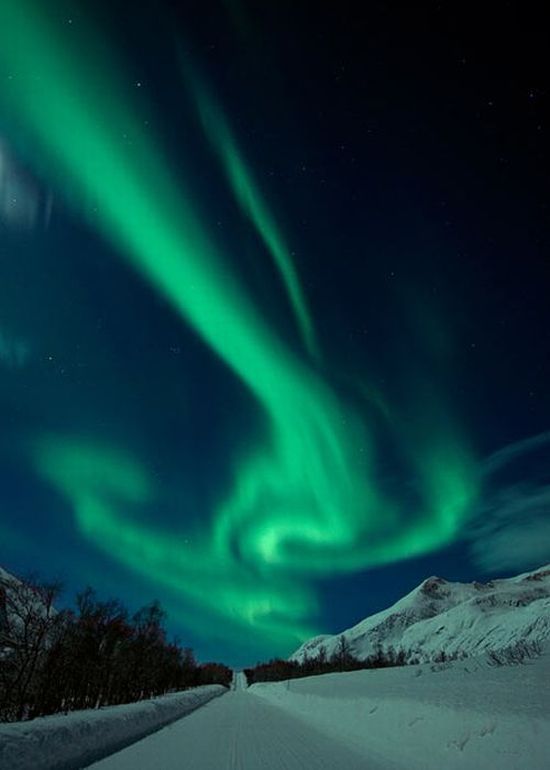 aurora, amazing northern lights