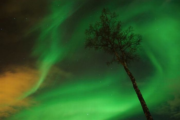 aurora, amazing northern lights