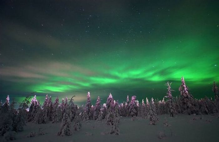 aurora, amazing northern lights